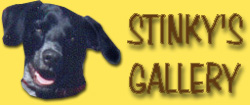 Go To Stinky's Gallery